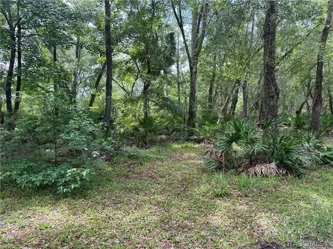 3990 SE 77th Pl, Inglis, FL 34449 photo 3