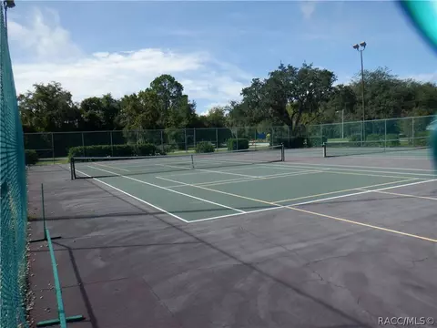 Exterior - 7365 N Redbird Ter, Hernando, FL 34442 photo 18 of 21