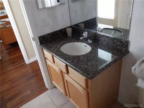 Bath - 7365 N Redbird Ter, Hernando, FL 34442 photo 8 of 12