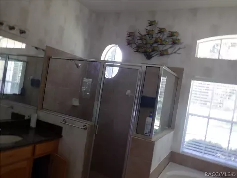 Bath - 7365 N Redbird Ter, Hernando, FL 34442 photo 10 of 12