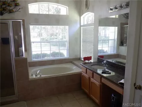 Bath - 7365 N Redbird Ter, Hernando, FL 34442 photo 9 of 12