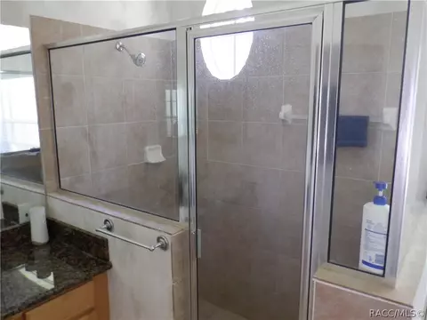 Bath - 7365 N Redbird Ter, Hernando, FL 34442 photo 11 of 12