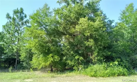 1851 W Magenta Dr, Citrus Springs, FL 34434