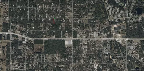 1730 E Bismark St, Hernando, FL 34442 photo 4