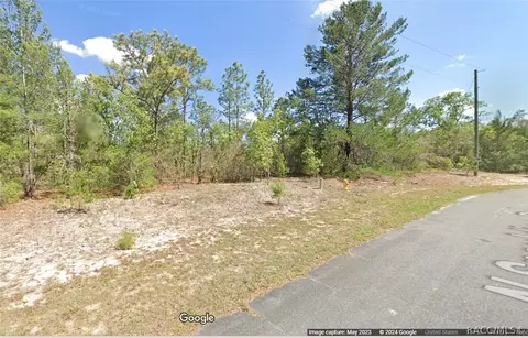 10266 N Spaulding Dr, Citrus Springs, FL 34433