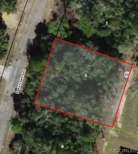 9923 N Wayland Ave, Citrus Springs, FL 34434