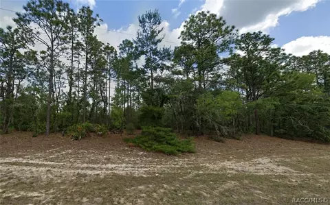 3911 W Hampshire Blvd, Citrus Springs, FL 34433