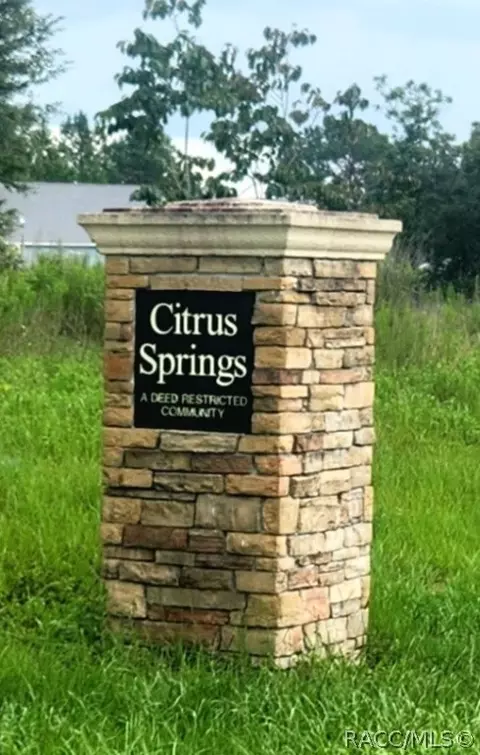 9369 N Lily Dr, Citrus Springs, FL 34434