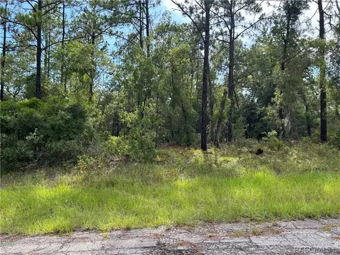 9899 N Lathyrus Ter, Citrus Springs, FL 34433