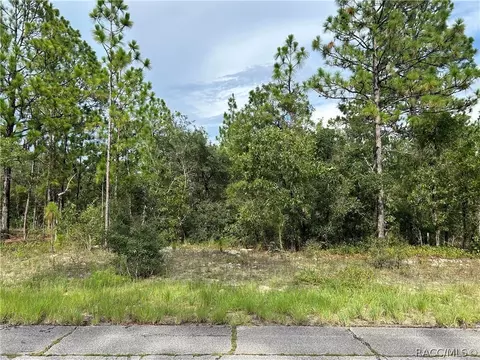 9882 N Sistine Ter, Citrus Springs, FL 34433