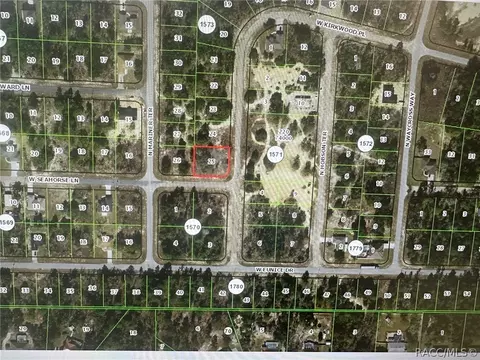 3335 W Kirkwood Pl, Dunnellon, FL 34433