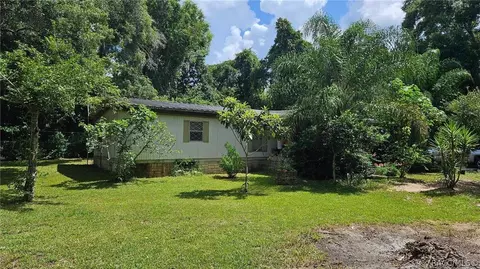 6580 S Dolphin Dr, Floral City, FL 34436