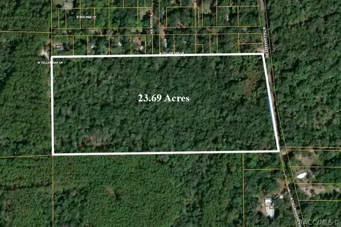 4830 N Tallahassee Rd, Crystal River, FL 34428