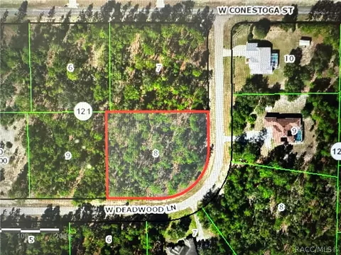6157 W Deadwood Ln, Beverly Hills, FL 34465