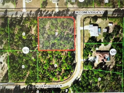6180 W Conestoga St, Beverly Hills, FL 34465