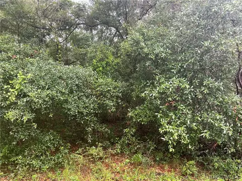 870 E Panama Dr, Dunnellon, FL 34434