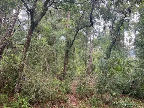 928 E Panama Dr, Dunnellon, FL 34434