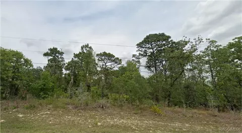 6633 N Bedstrow Blvd, Citrus Springs, FL 34465