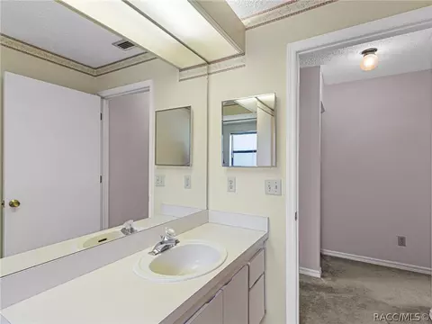 259 N Turkey Pine Loop, Lecanto, FL 34461 photo 37