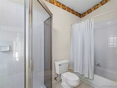 259 N Turkey Pine Loop, Lecanto, FL 34461 photo 27
