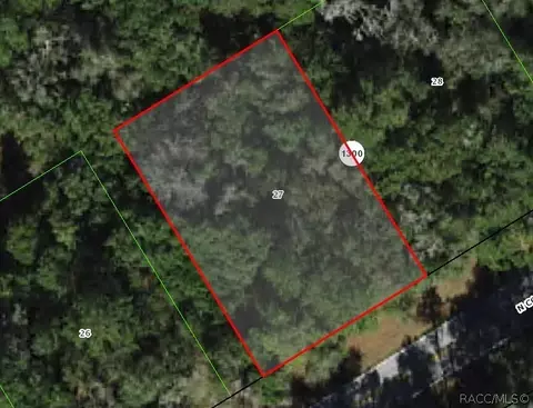 10180 N Country Club Way, Citrus Springs, FL 34434