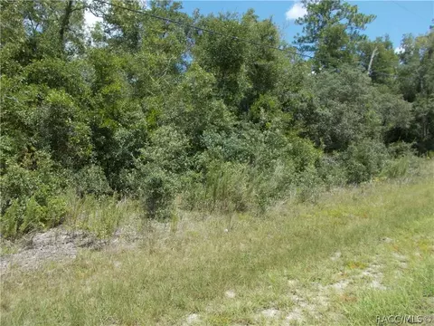 10590 N Burbank Ave, Citrus Springs, FL 34434