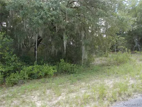 2656 W Braganza St, Citrus Springs, FL 34434