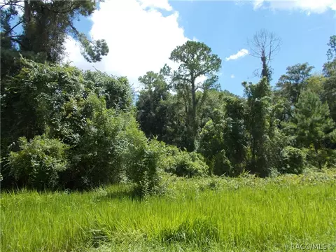 10523 N Athenia Dr, Citrus Springs, FL 34434