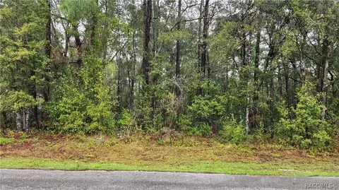 7687 W Leisure St, Dunnellon, FL 34433