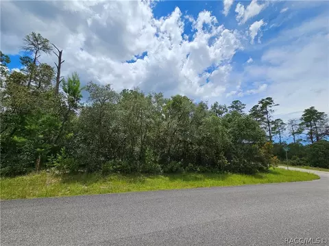 4440 W Findlay St, Citrus Springs, FL 34433