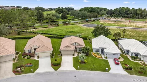 View/Area - 860 W Silver Meadow Loop, Hernando, FL 34442 photo 3 of 16