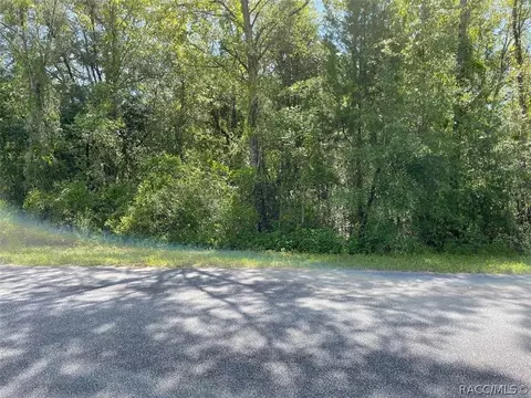 lot30 SW Grandview Ave, Dunnellon, FL 34431