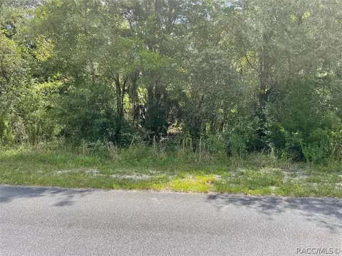 lot31 SW Grandview Ave, Dunnellon, FL 34431