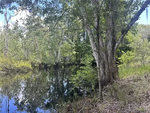 8020 S Ute Pt, Floral City, FL 34436