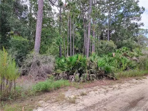 4039 N Mitchum Pt, Crystal River, FL 34428
