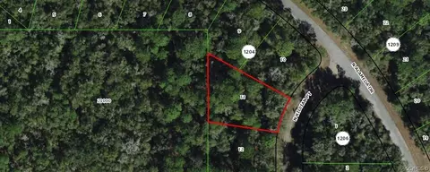 8228 N Killian Pt, Citrus Springs, FL 34434