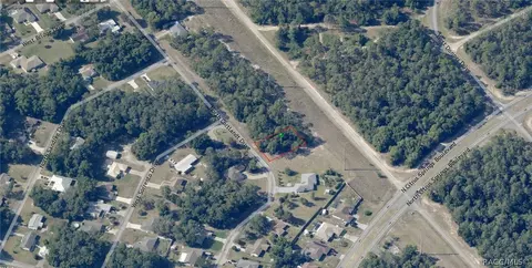 9800 N Cortlandt Dr, Citrus Springs, FL 34434