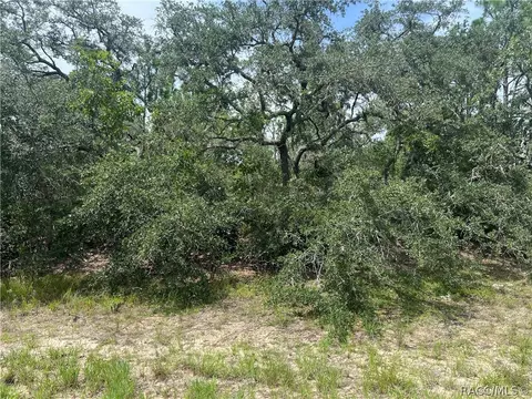 6890 N Lime Dr, Citrus Springs, FL 34465