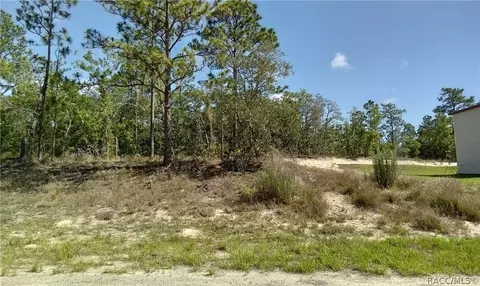 3333 W Parkview Dr, Citrus Springs, FL 34434