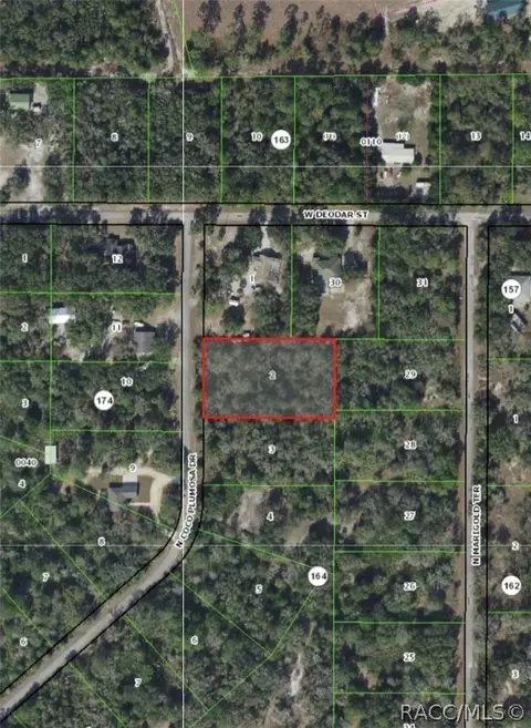 10375 N Coco Plumosa Dr, Crystal River, FL 34428