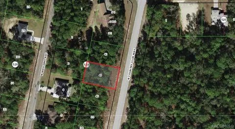 9828 N Country Club Way, Citrus Springs, FL 34434