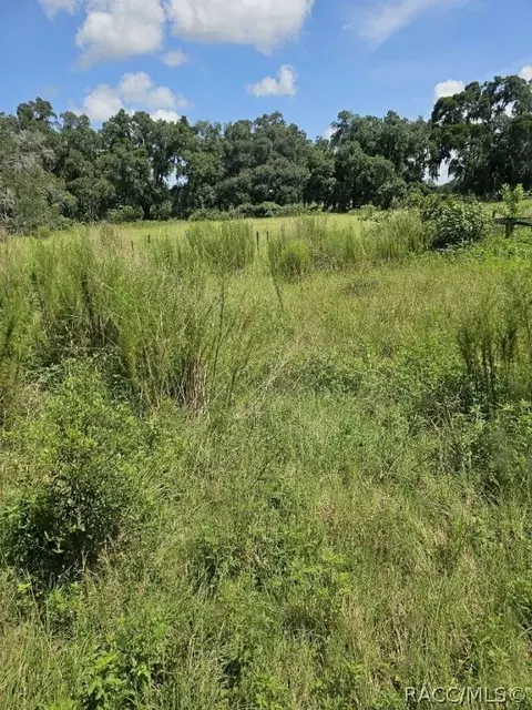1584 E C-478, Webster, FL 33597 photo 5