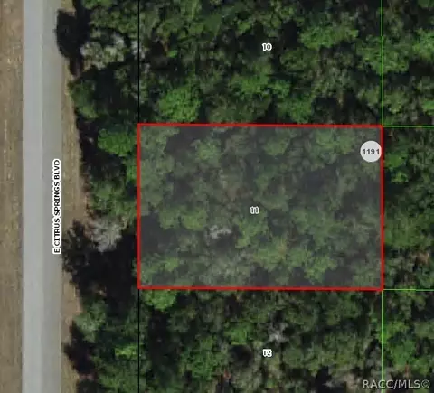 1458 E Citrus Springs Blvd, Citrus Springs, FL 34434