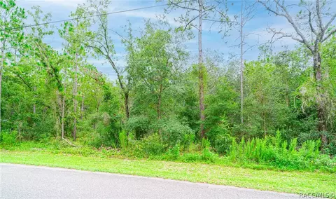 320 E Knightsbridge Pl, Lecanto, FL 34461 photo 6