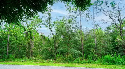 320 E Knightsbridge Pl, Lecanto, FL 34461 photo 7
