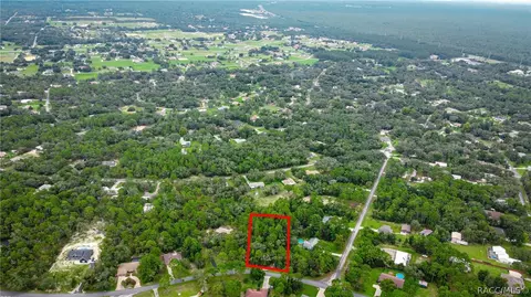320 E Knightsbridge Pl, Lecanto, FL 34461 photo 9