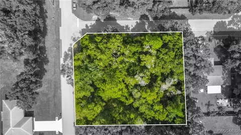 1064 N Charles Ave, Inverness, FL 34453