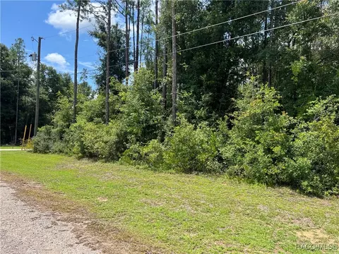 8668 N Stern Way, Citrus Springs, FL 34434