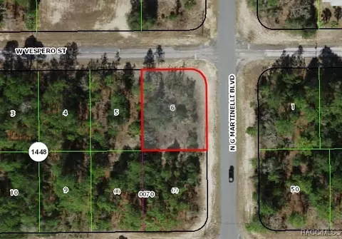 11040 N G Martinelli Blvd, Citrus Springs, FL 34433