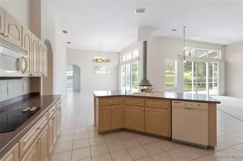 251 W Mickey Mantle Path, Hernando, FL 34442 photo 8
